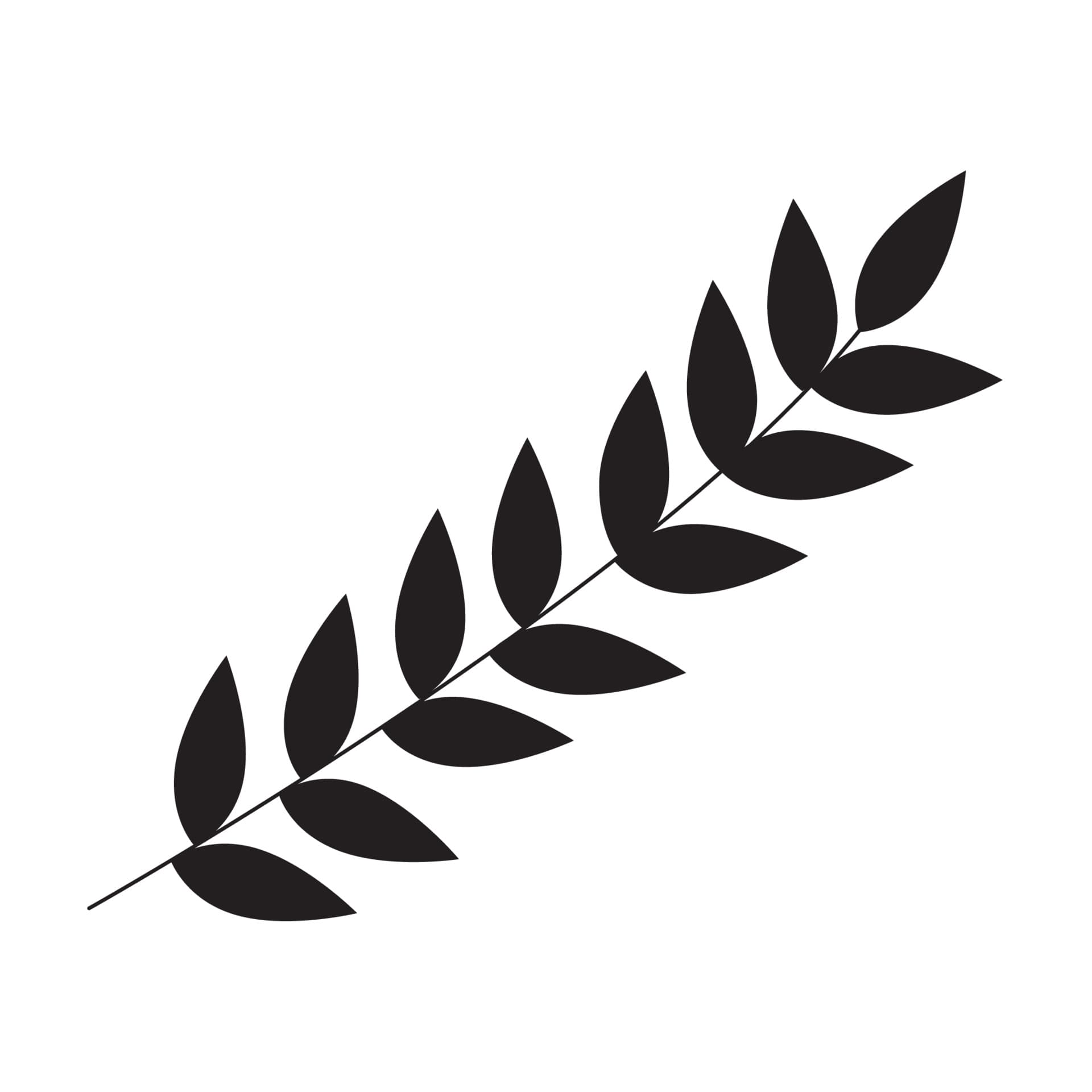 Ramo de folhas abaixo do menu